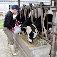 農場ＨＡＣＣＰ（ハサップ）　千葉県農大が衛生認証　東金　牛、豚、鶏の３種