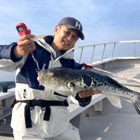 飯岡沖で釣り上げたトラフグ（写真は「幸丸」提供）