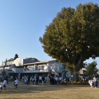 佐倉幼稚園閉園へ　２５年度末、園児数回復せず　市教委方針