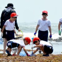 海の生き物み～つけた！　カニや小魚、タコＧＥＴ　いすみ浪花小　磯観察