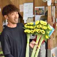 ヒマワリ眺めて笑顔に　「父の日」向け最盛期　館山・西岬地区