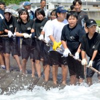 海底の魚一斉捕獲！　勝浦中１年　地引き網体験　「漁師の文化すごい」