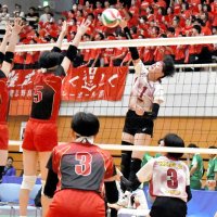 格の違い見せる　敬愛学園　バレーボール千葉県高校総体