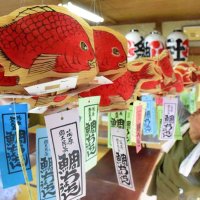夏彩る鯛ちょうちん　茂原・八坂神社　７月祭礼で参拝者に４００個