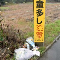 現場近くに手向けられた花や飲み物＝２８日、八街市