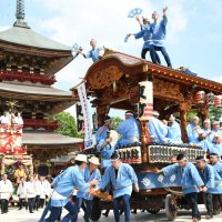 夏の訪れ、成田祇園祭　山車・屋台１０台勢い良く