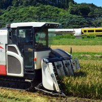 超早場米、早くも稲刈り　有数の米どころ、いすみで
