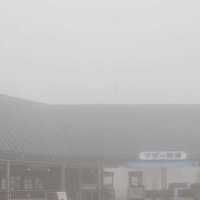 ＜台風７号接近＞千葉の観光施設、休業相次ぐ　鴨川シーワールド、マザー牧場など休園　ディズニーは一部パレード休止　県警「免許更新は台風通過後に」