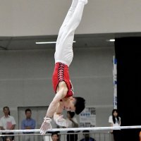 角皆、個人でも総合Ｖ２　体操　全国高校総体　