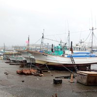 【動画あり】いすみ大原漁港　すべての漁を取りやめ　台風７号接近で