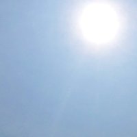 市原牛久で３６度超え　９月半ばなのに…千葉県内厳しい暑さ　茂原、佐倉も猛暑日　熱中症疑い１３人搬送　１２日は警戒アラート