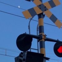 踏切立ち入りでＪＲ内房線に遅れ　成人女性１人を保護