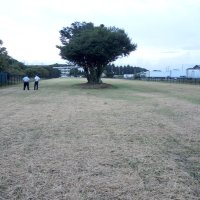 自由に遊べる「広場」無料開放　野田市が遊休農地に整備