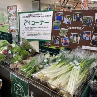 そごう千葉店で週に２回設置されている人気の「２４コーナー」
