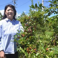 竹炭栽培の野菜人気　未経験から挑戦、販路拡大へ　ファームサポート千葉合同会社（千葉市緑区）　【ちばの元気企業】
