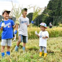 家族連れ多古米収穫　野外炊飯、新米も味わう