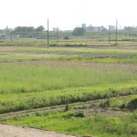 松戸矢切耕地「農地保全を」　市民団体、署名添え市に要望
