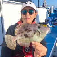 勝山沖～竹岡沖で釣り上げたカワハギ（写真は「萬栄丸」提供）