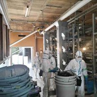 香取の鳥インフル陽性確認、今季初　３万８千羽殺処分開始