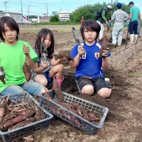秋の味覚どっさり　いすみ　芋掘りで地域おこし