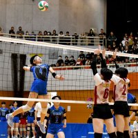 エース中心に全員バレー　習志野　女子　春高バレー千葉県代表決定戦