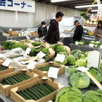 新鮮食材求めにぎわう　ＪＡ木更津市収穫祭