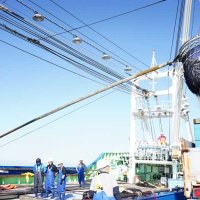 銚子漁港、水揚げ量日本一ならず　サバ不振目立つ