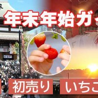 初日の出、初売り、いちご狩りも！　ちば年末年始ガイド　２０２４～２５年
