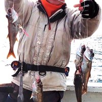 片貝沖でゲットしたクロムツ（写真は「第１二三丸」提供）