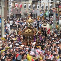 ８年ぶりの開催で盛り上がる「浦安三社例大祭」のみこし渡御＝６月、浦安市
