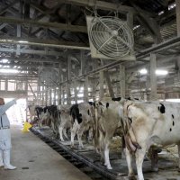 猛暑に生活振り回され　酪農やフェスへも影響　危険な夏・熱中症　【回顧２０２４　取材メモから】