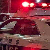 【速報】松戸で大型犬が逃走　体長80センチのサルーキー　警察が注意呼び掛け