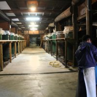 幕末に建築された本蔵で、今も酒造りが行われている
