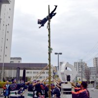 伝統の大技次々披露　船橋　新春恒例はしご乗り