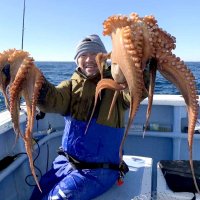 鹿島沖で釣り上げたマダコ（写真は「幸栄丸」提供）