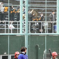 演奏背にはつらつプレー　東金の小中生　高校野球の熱気体験