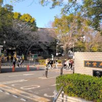 千葉大、教員を懲戒解雇　「刑法犯に該当する行為」
