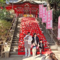 境内華やか４５０体　勝浦連携でひな祭り行事　市原・高瀧神社