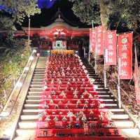 本殿につながる石段に飾られ、ライトアップされたひな人形＝２２日夕、市原市の高瀧神社