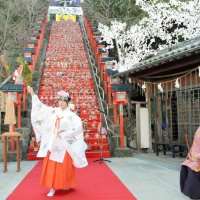 「ビッグひな祭り」２２日開幕　勝浦　市内全域に２万体、人形飾り成功祈願