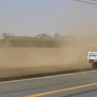 【動画あり】強風で千葉県内交通乱れ　砂ぼこりも、最大瞬間２６メートル