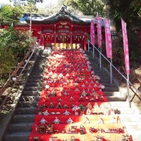 高瀧神社の石段に並べられたひな人形
