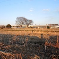 松戸市、矢切開発「１０以上２０ヘクタール未満」　地区計画でガイドライン素案　国道６号から４００メートル以内の区域と限定