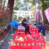 石段に４５０体ずらり　市原でもビッグひな祭り　２２日から初開催、元祖勝浦と連携