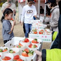 【子ども新聞　週刊ちばにち家】　イチゴ味わい快走　千葉市、特産品ＰＲ　（２０２５年２月２０日号）