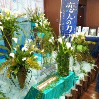 カラーとミモザ産地ＰＲ　君津市　「海ほたる」に展示