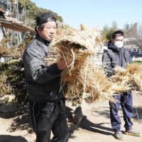 【動画あり】わらの「大蛇」で災いよけ　匝瑳・時曽根【写真複数】