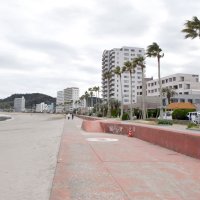 基金依存、厳しい財政　海辺エリアの改革急務　【鴨川市の課題　３月１６日市長選】