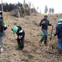 スギ苗木４００本「大きく育って」　君津の児童が植樹