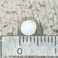 習志野市で降った氷の粒＝１９日午前７時過ぎ